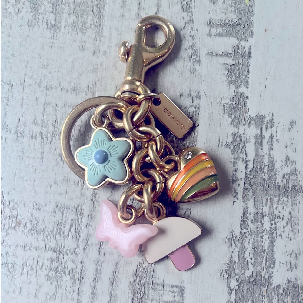 Coach mushroom rainbow keychain bag charm